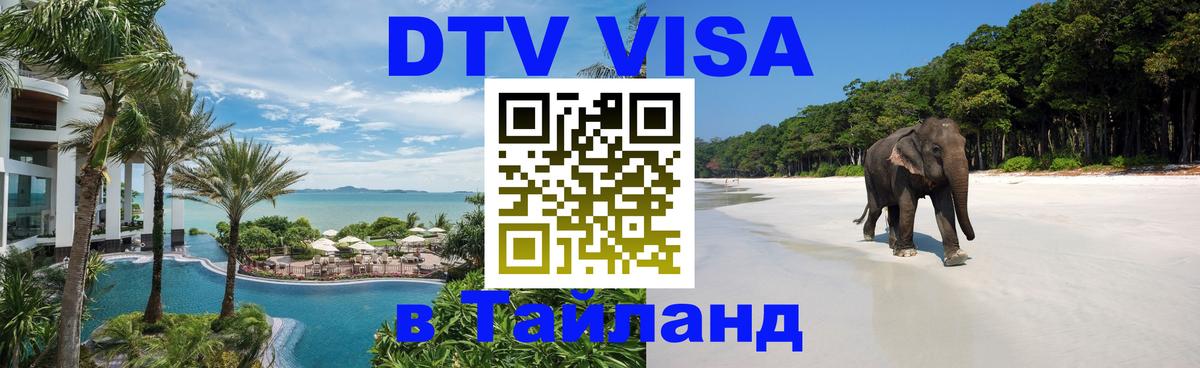 Оформление DTV визы под ключ: стоимость и тарифы, только загранпаспорт - Волгоград 